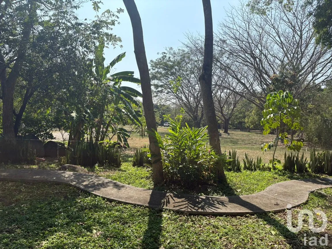 Terreno en Venta en Comala, Comala, Colima | NEX-287806 | iad México | Foto 8 de 11