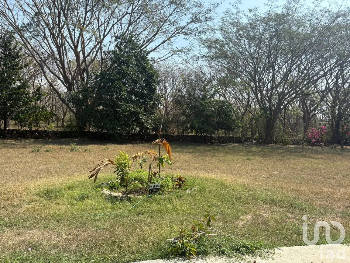 Terreno en Venta en Comala, Comala, Colima | NEX-287806 | iad México | Foto 1 de 11