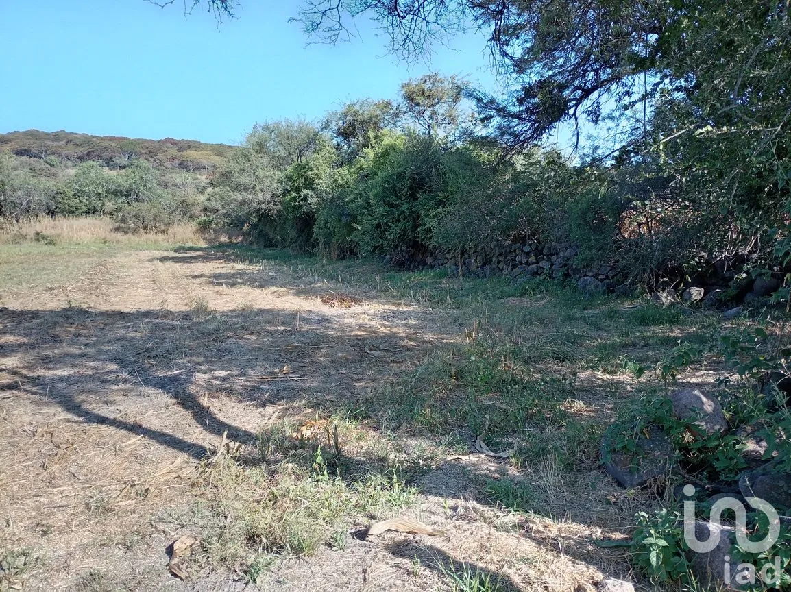 Terreno en Venta en Capacho, Huandacareo, Michoacán de Ocampo | NEX-258991 | iad México | Foto 2 de 11