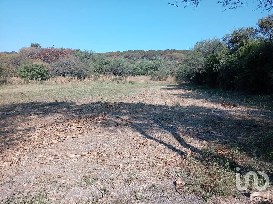 Terreno en Venta en Capacho, Huandacareo, Michoacán de Ocampo | NEX-258991 | iad México | Foto 3 de 11