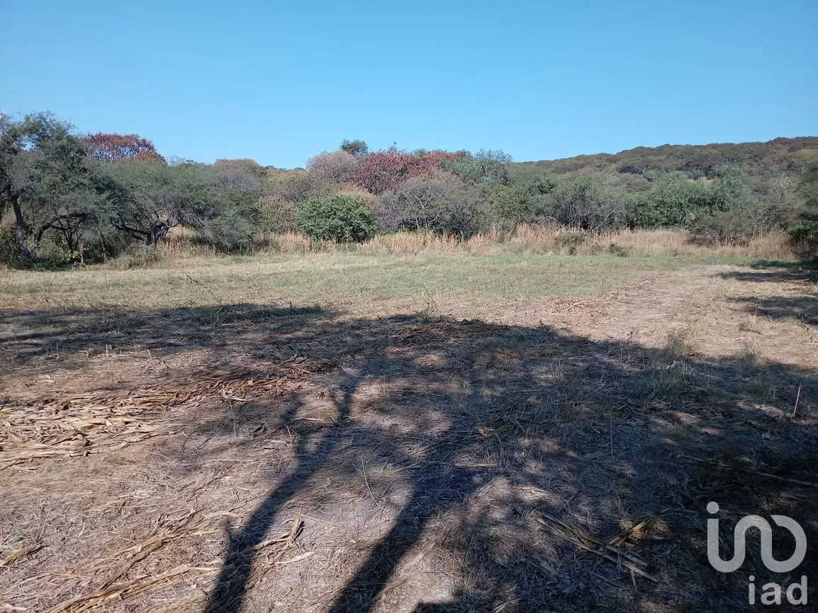 Terreno en Venta en Capacho, Huandacareo, Michoacán de Ocampo | NEX-258991 | iad México | Foto 4 de 11