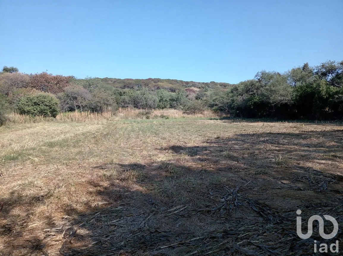 Terreno en Venta en Capacho, Huandacareo, Michoacán de Ocampo | NEX-258991 | iad México | Foto 6 de 11