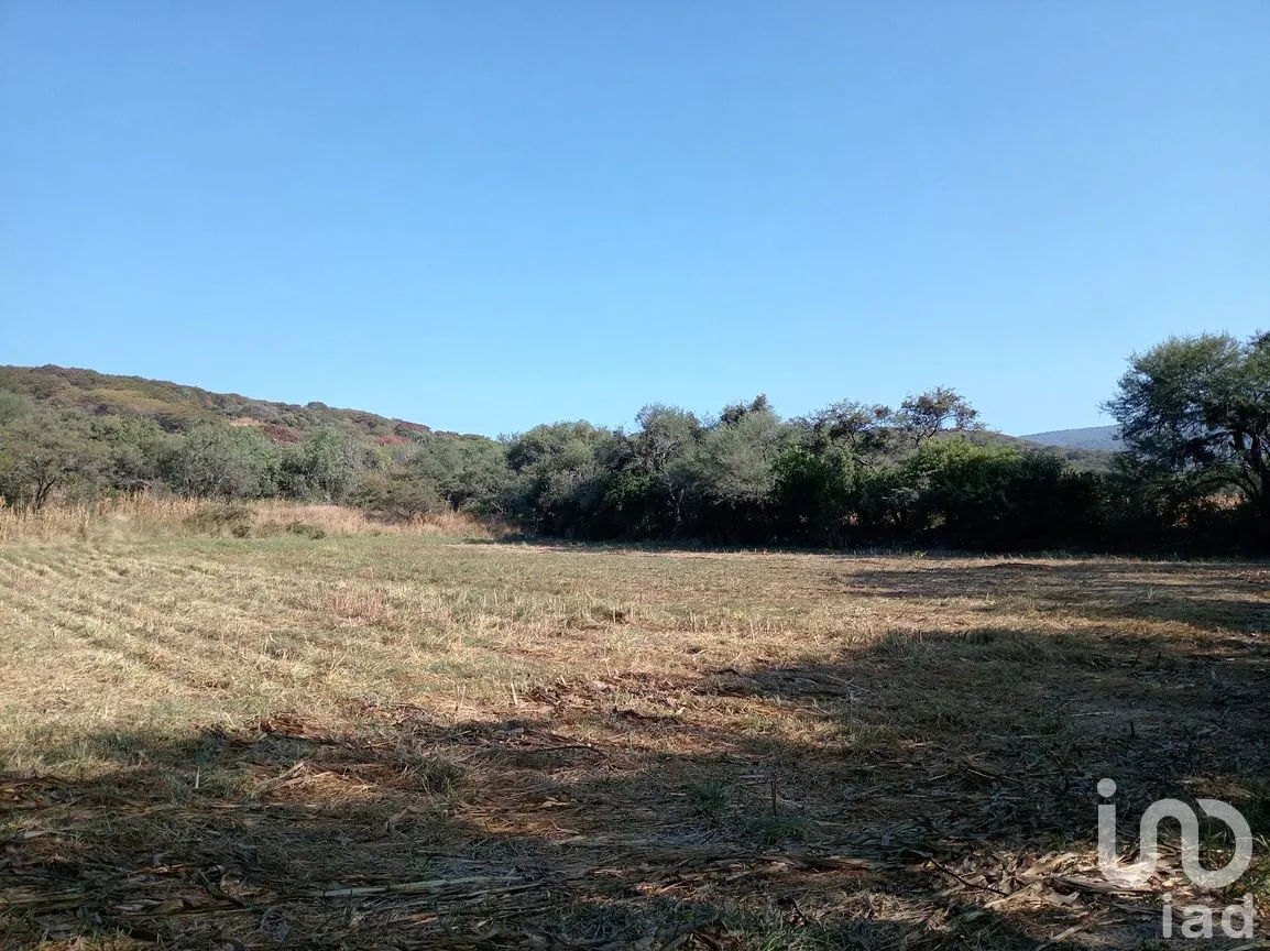 Terreno en Venta en Capacho, Huandacareo, Michoacán de Ocampo | NEX-258991 | iad México | Foto 7 de 11