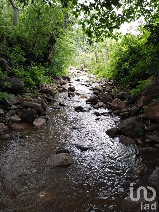Terreno en Venta en Capacho, Huandacareo, Michoacán de Ocampo | NEX-258991 | iad México | Foto 8 de 11