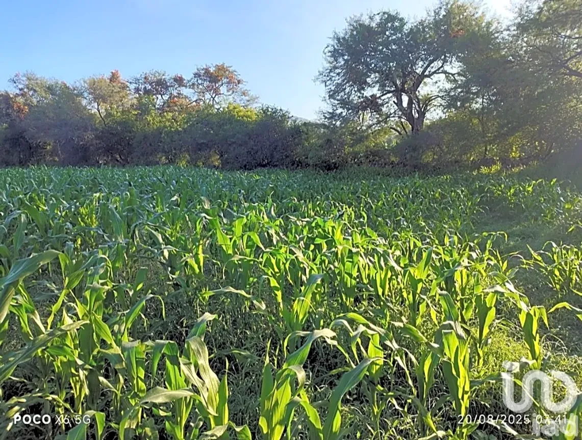 Terreno en Venta en Capacho, Huandacareo, Michoacán de Ocampo | NEX-258991 | iad México | Foto 9 de 11