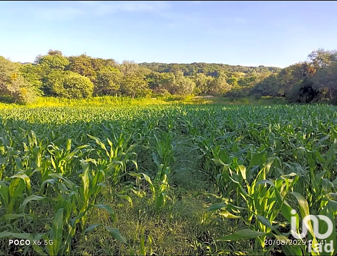 Terreno en Venta en Capacho, Huandacareo, Michoacán de Ocampo | NEX-258991 | iad México | Foto 10 de 11