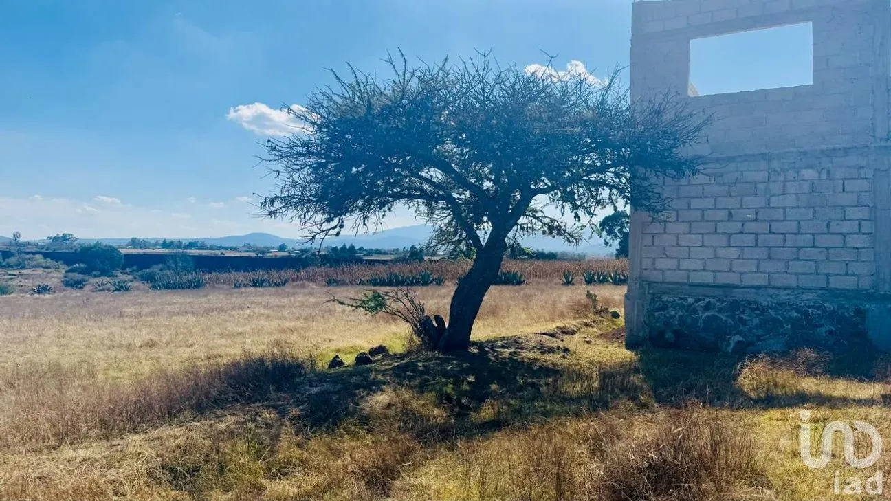 Terreno en Venta en San Juan Hueyapan, Huasca de Ocampo, Hidalgo | NEX-242416 | iad México | Foto 5 de 7
