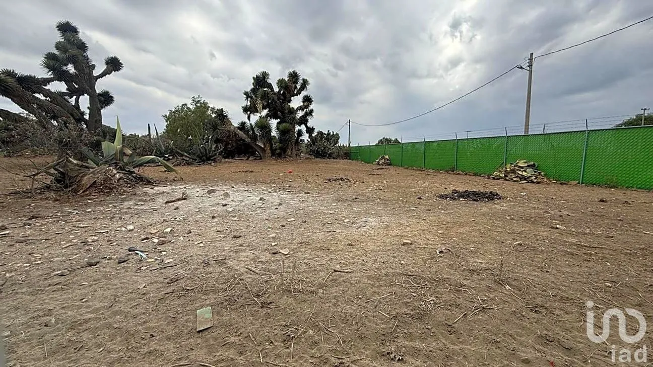 Terreno en Venta en Santa Mónica, Epazoyucan, Hidalgo | NEX-251703 | iad México | Foto 5 de 7