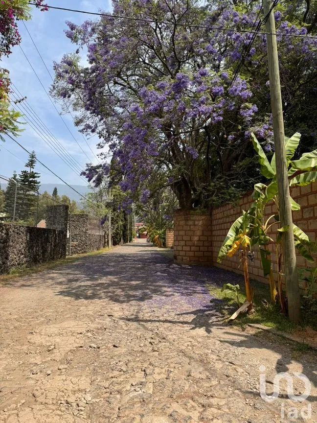 Casa en Venta en El Tesoro, Tepoztlán, Morelos | NEX-212630 | iad México | Foto 19 de 20