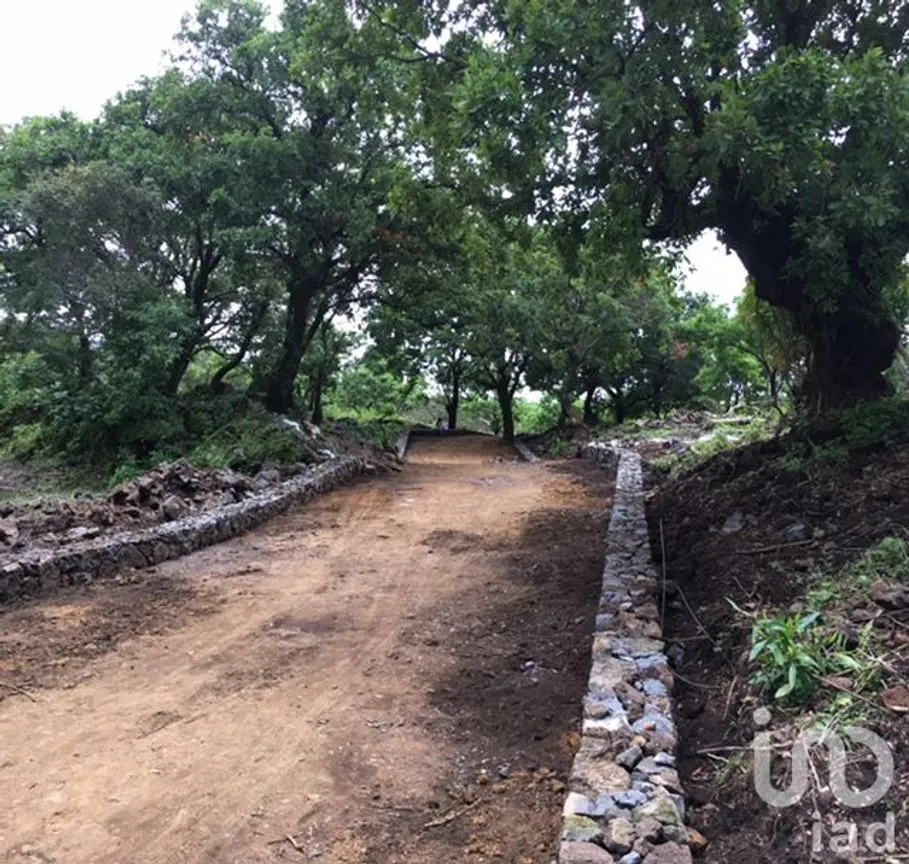 Terreno en Venta en Santo Domingo Ocotitlán, Tepoztlán, Morelos | NEX-213198 | iad México | Foto 2 de 10