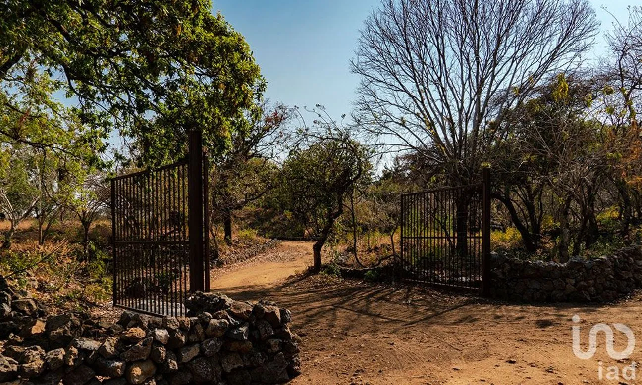 Terreno en Venta en Santo Domingo Ocotitlán, Tepoztlán, Morelos | NEX-213198 | iad México | Foto 3 de 10