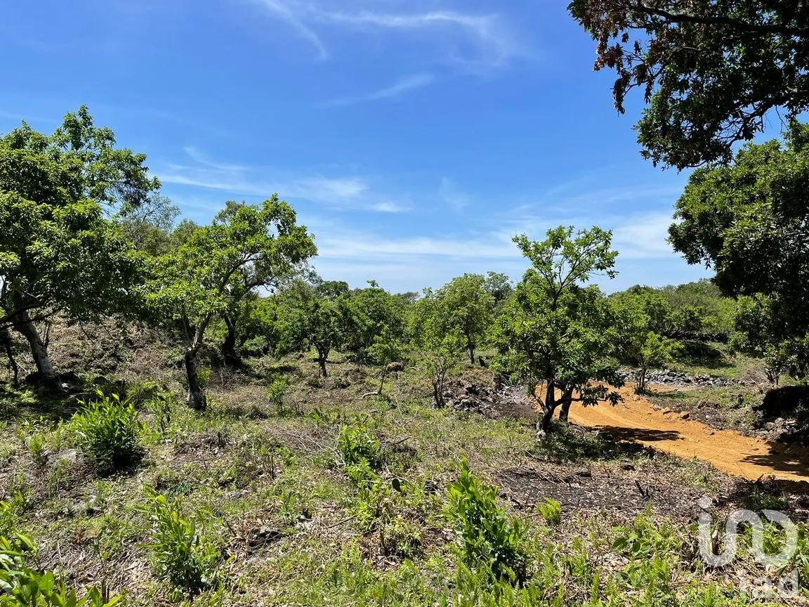 Terreno en Venta en Santo Domingo Ocotitlán, Tepoztlán, Morelos | NEX-213198 | iad México | Foto 5 de 10