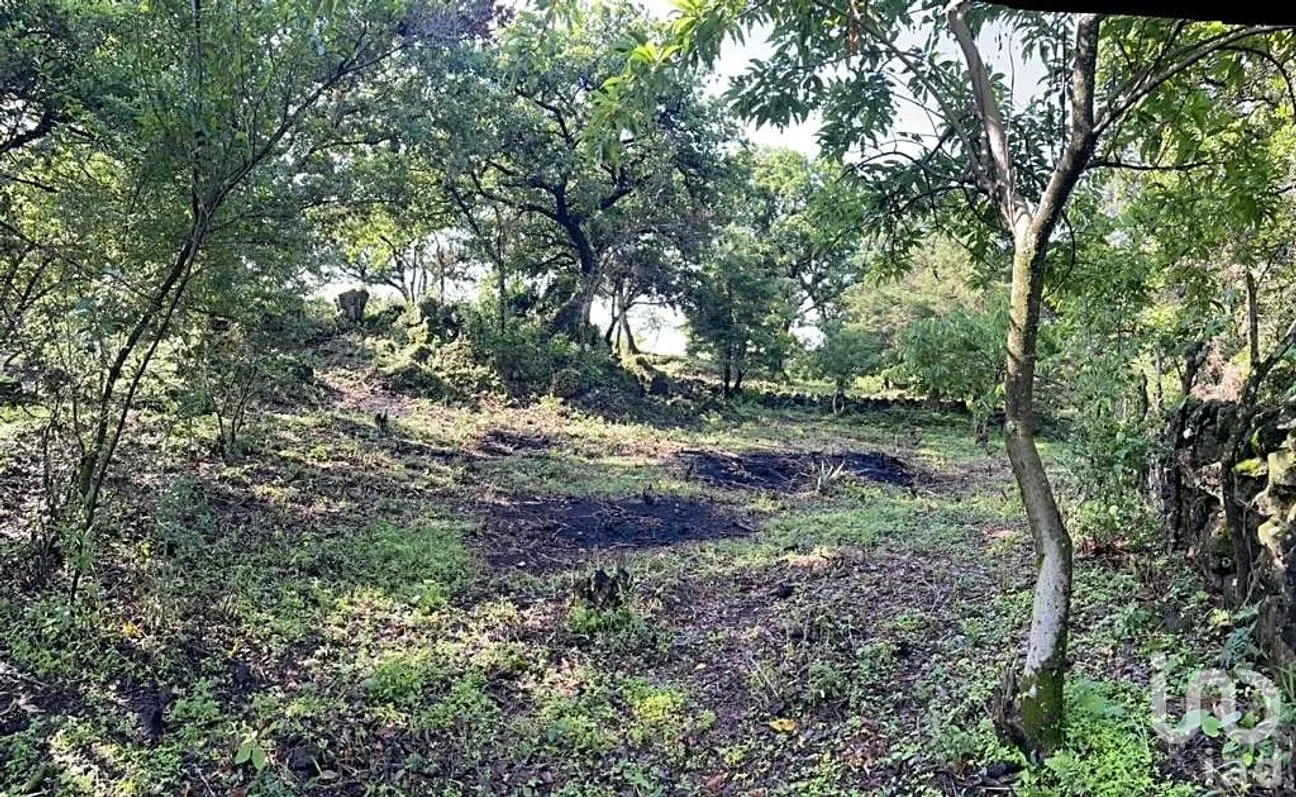 Terreno en Venta en Santo Domingo Ocotitlán, Tepoztlán, Morelos | NEX-213198 | iad México | Foto 6 de 10