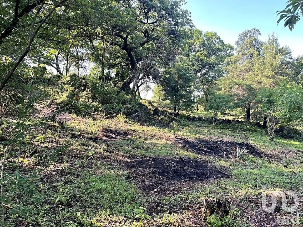 Terreno en Venta en Santo Domingo Ocotitlán, Tepoztlán, Morelos | NEX-213198 | iad México | Foto 7 de 10