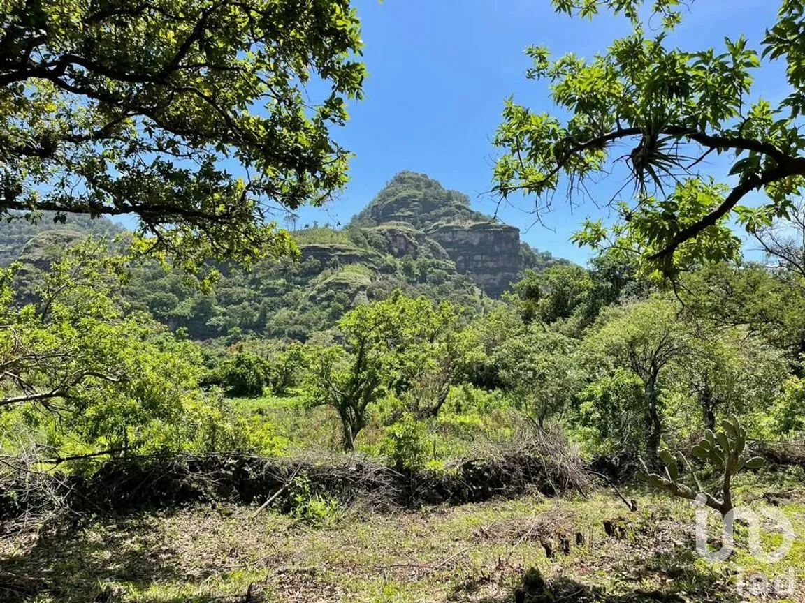 Terreno en Venta en Santo Domingo Ocotitlán, Tepoztlán, Morelos | NEX-213198 | iad México | Foto 8 de 10