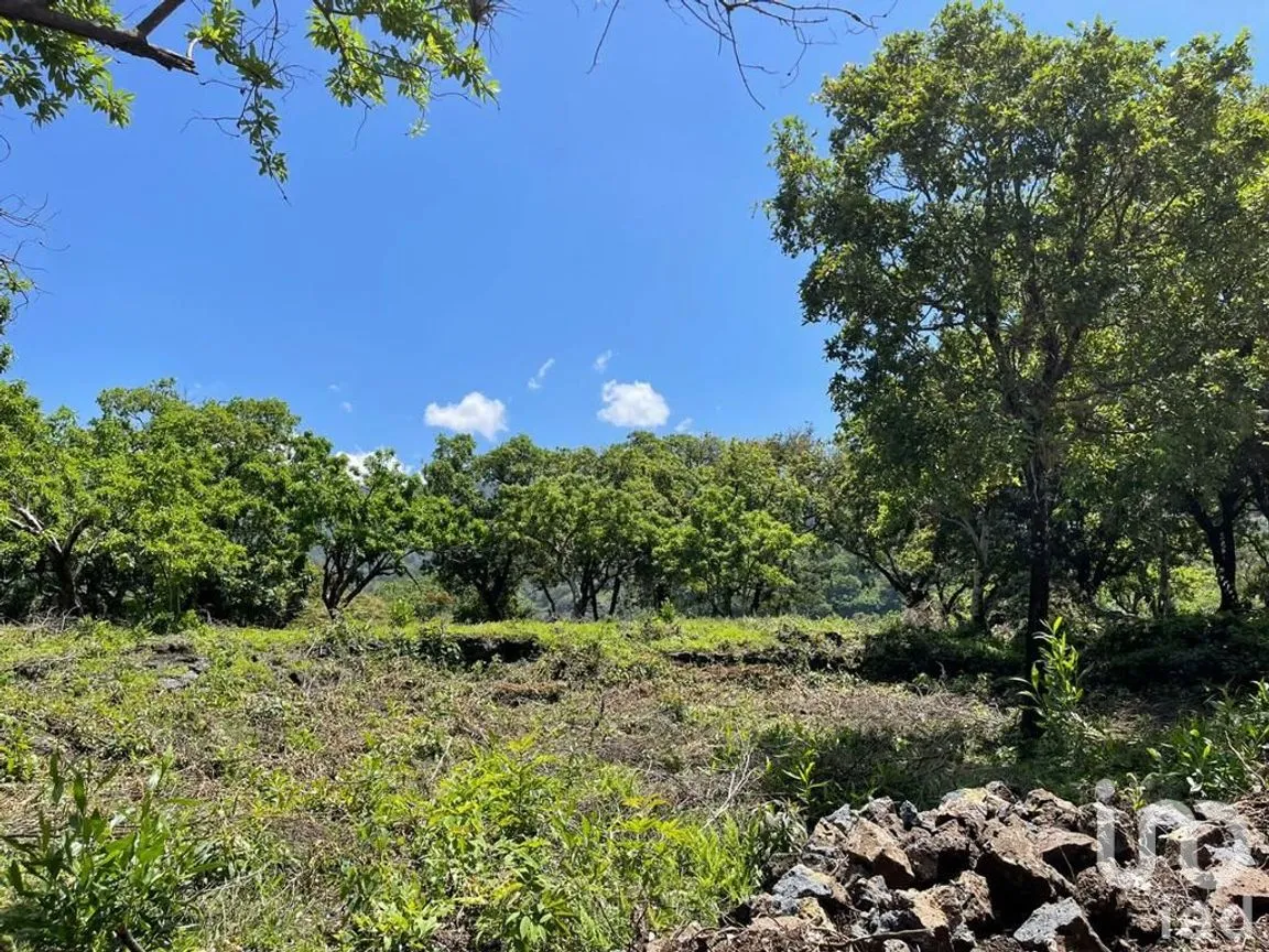 Terreno en Venta en Santo Domingo Ocotitlán, Tepoztlán, Morelos | NEX-213198 | iad México | Foto 9 de 10