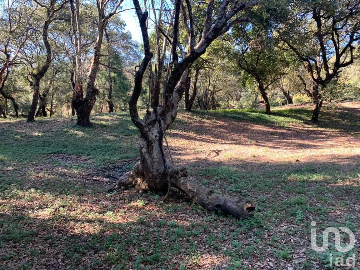 Terreno en Venta en Los Ocotes, Tepoztlán, Morelos | NEX-213224 | iad México | Foto 2 de 11