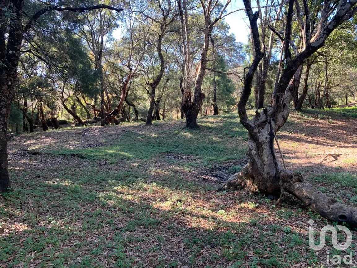 Terreno en Venta en Los Ocotes, Tepoztlán, Morelos | NEX-213224 | iad México | Foto 3 de 11