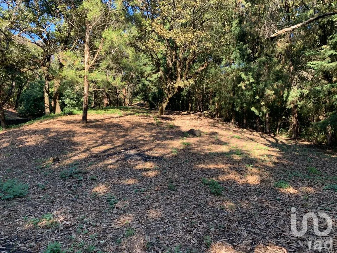 Terreno en Venta en Los Ocotes, Tepoztlán, Morelos | NEX-213224 | iad México | Foto 4 de 11