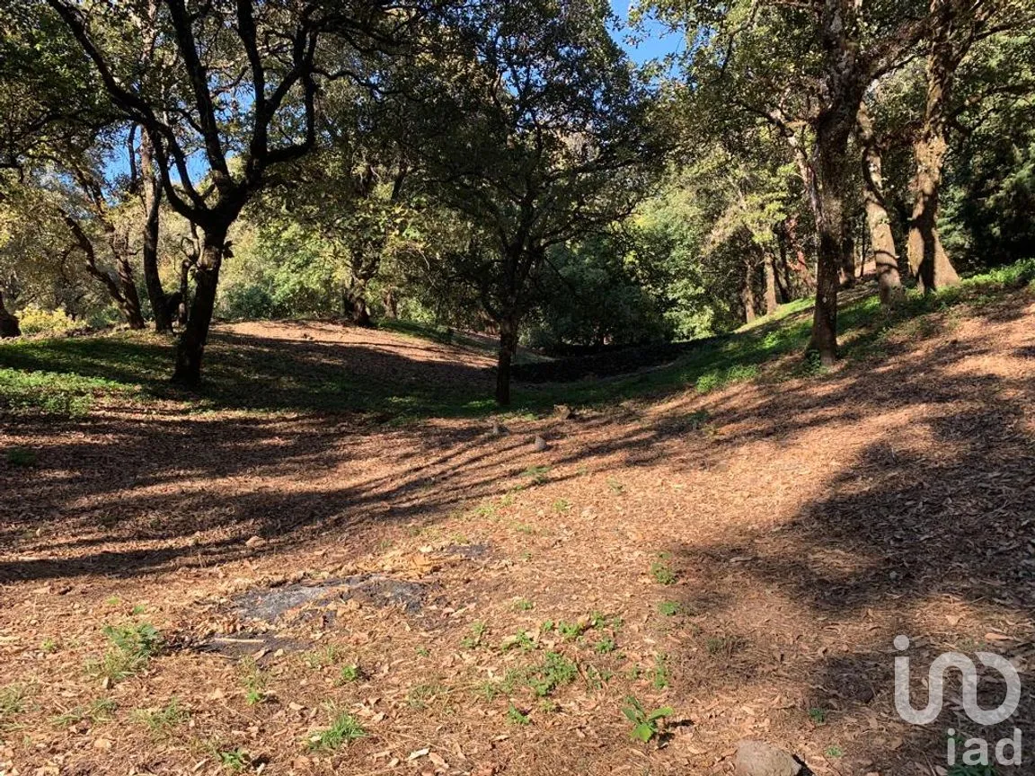 Terreno en Venta en Los Ocotes, Tepoztlán, Morelos | NEX-213224 | iad México | Foto 5 de 11