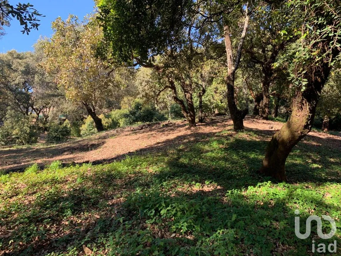 Terreno en Venta en Los Ocotes, Tepoztlán, Morelos | NEX-213224 | iad México | Foto 7 de 11