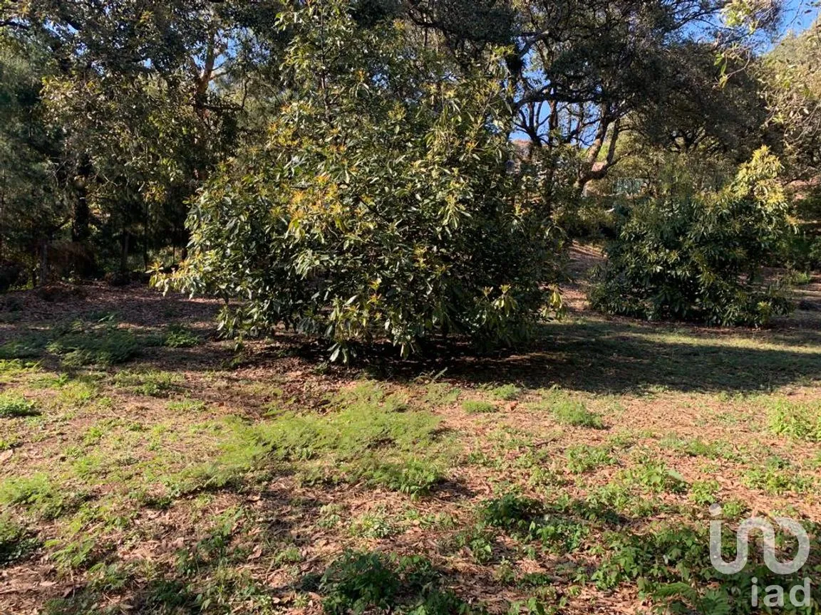 Terreno en Venta en Los Ocotes, Tepoztlán, Morelos | NEX-213224 | iad México | Foto 8 de 11