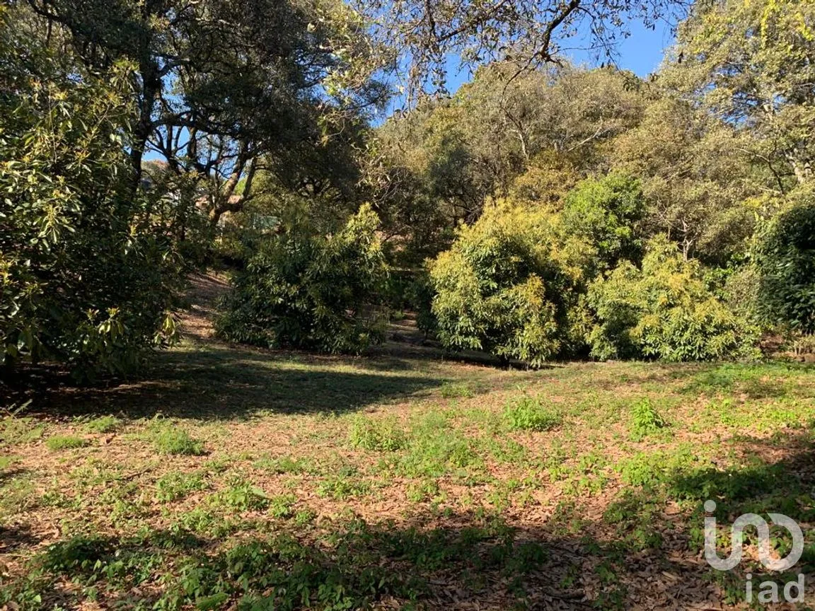 Terreno en Venta en Los Ocotes, Tepoztlán, Morelos | NEX-213224 | iad México | Foto 9 de 11