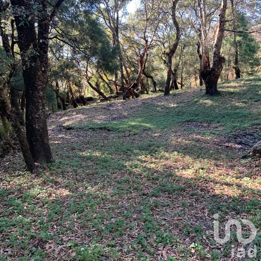 Terreno en Venta en Los Ocotes, Tepoztlán, Morelos | NEX-213224 | iad México | Foto 10 de 11