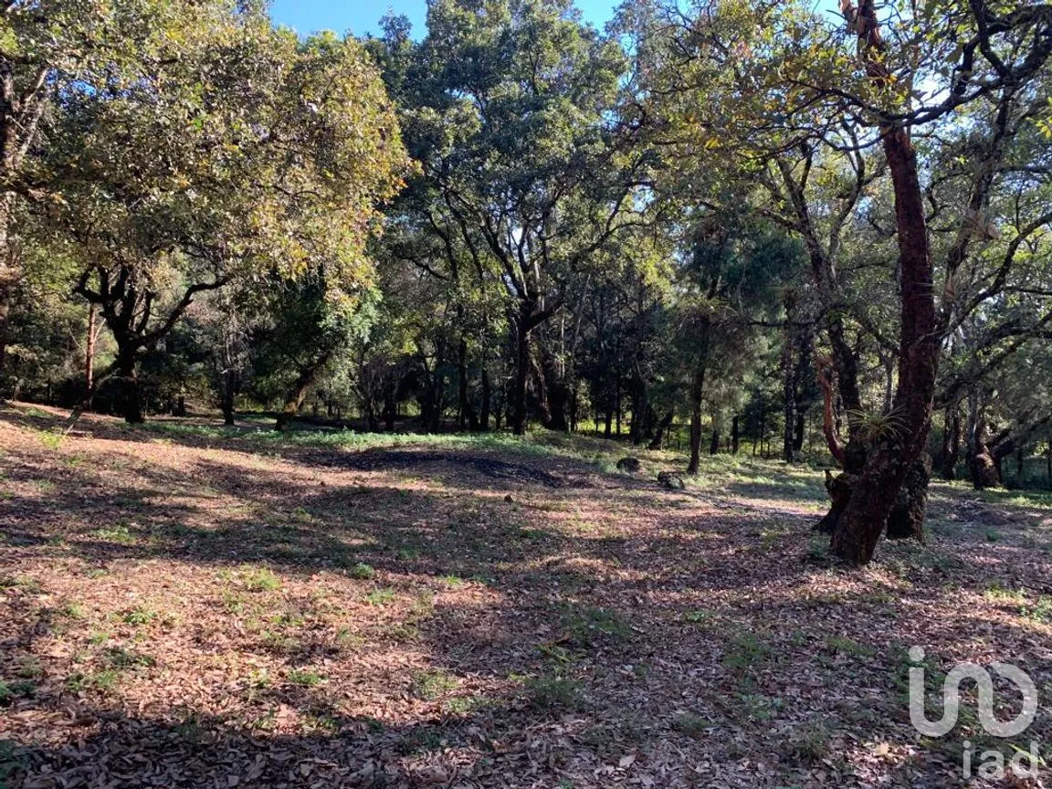 Terreno en Venta en Los Ocotes, Tepoztlán, Morelos | NEX-213224 | iad México | Foto 1 de 11