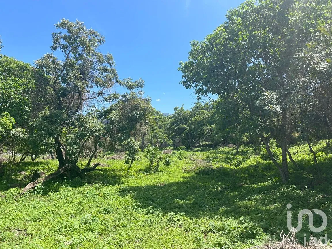 Terreno en Venta en Del Carmen, Tepoztlán, Morelos | NEX-213333 | iad México | Foto 3 de 10