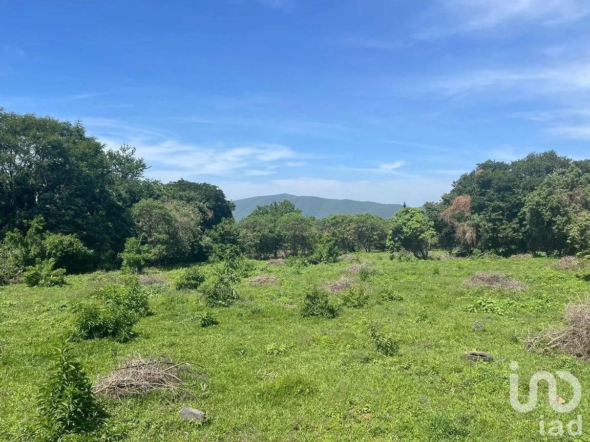 Terreno en Venta en Del Carmen, Tepoztlán, Morelos | NEX-213333 | iad México | Foto 4 de 10