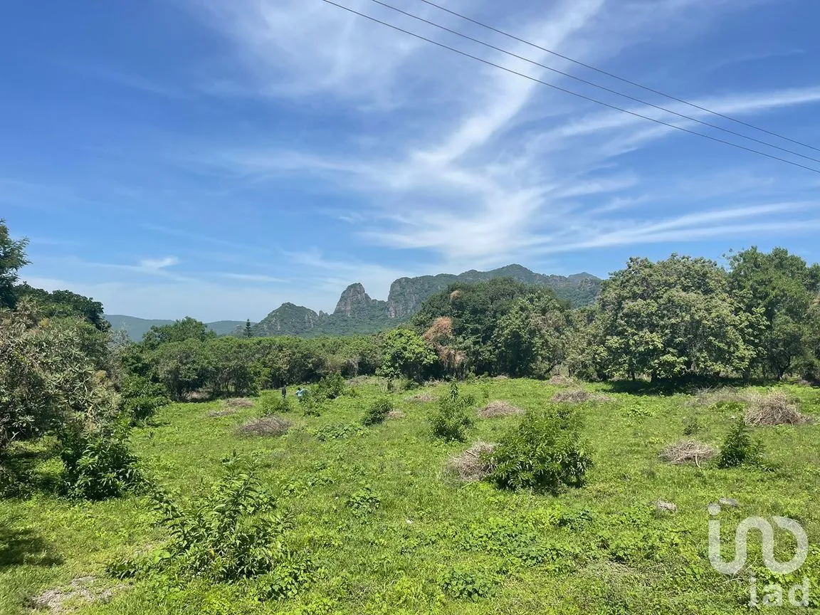 Terreno en Venta en Del Carmen, Tepoztlán, Morelos | NEX-213333 | iad México | Foto 5 de 10