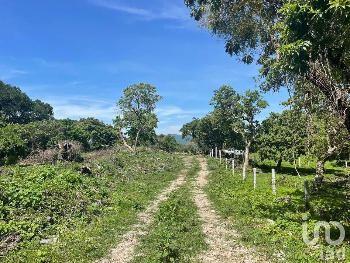Terreno en Venta en Del Carmen, Tepoztlán, Morelos | NEX-213333 | iad México | Foto 6 de 10