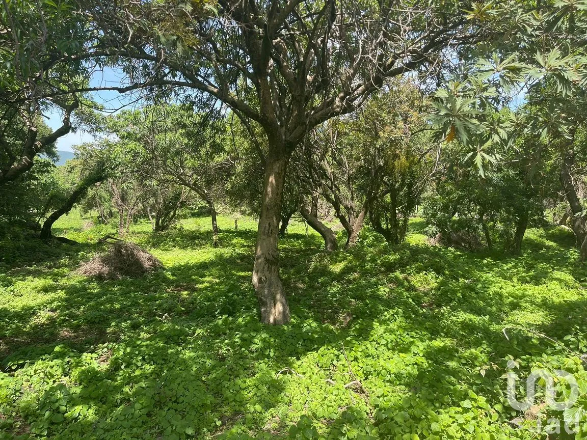 Terreno en Venta en Del Carmen, Tepoztlán, Morelos | NEX-213333 | iad México | Foto 7 de 10