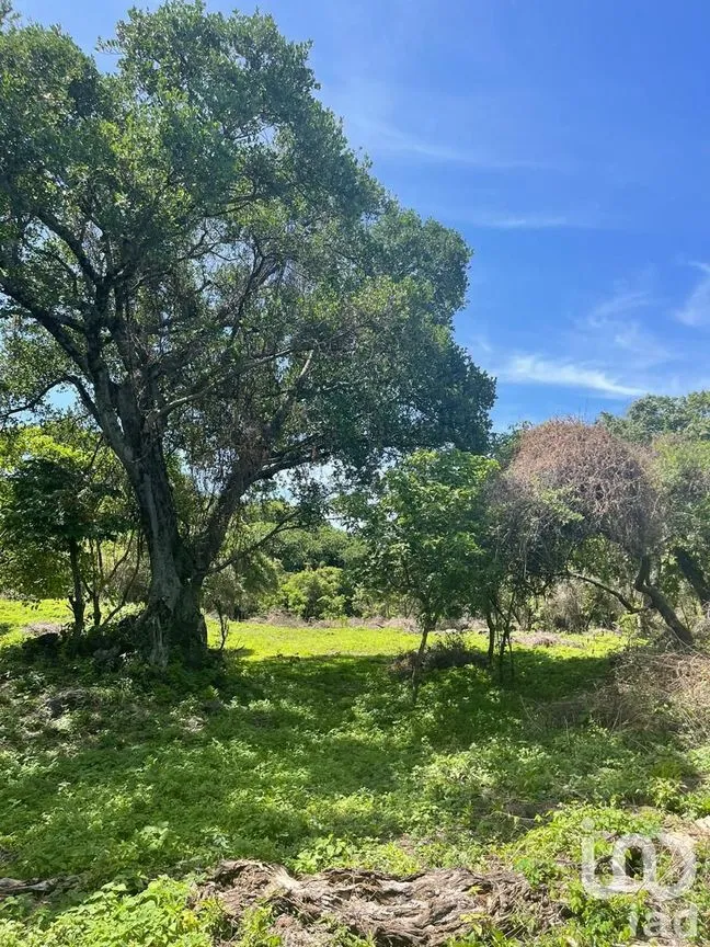 Terreno en Venta en Del Carmen, Tepoztlán, Morelos | NEX-213333 | iad México | Foto 9 de 10