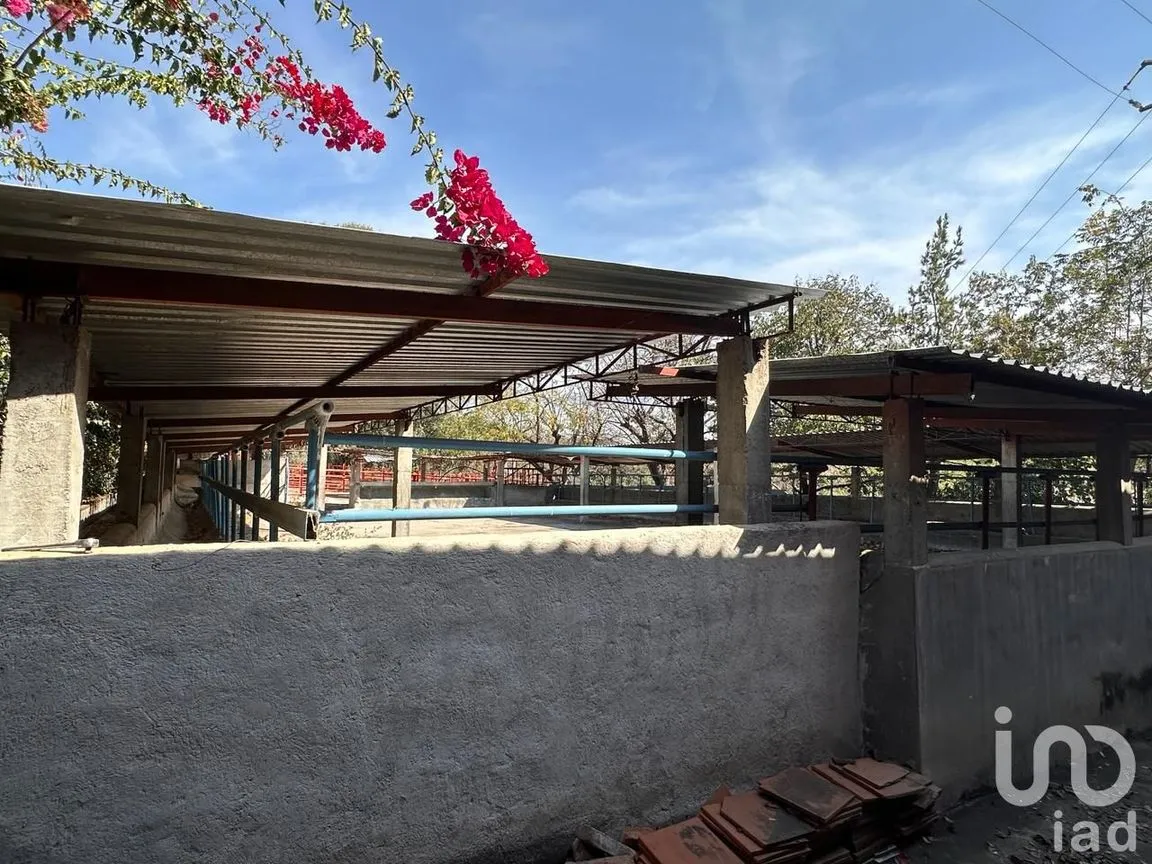 Rancho en Venta en Temoac, Temoac, Morelos | NEX-213562 | iad México | Foto 12 de 19