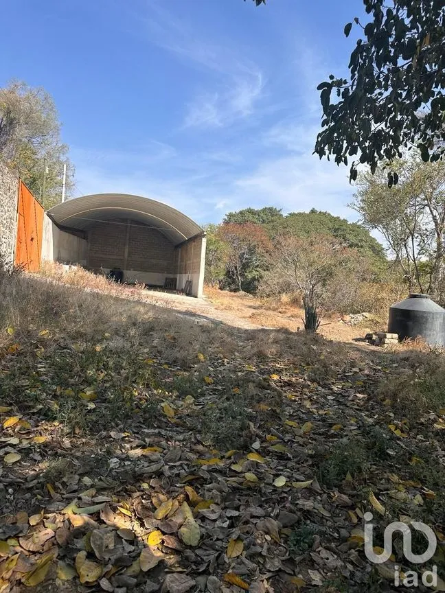 Rancho en Venta en Temoac, Temoac, Morelos | NEX-213562 | iad México | Foto 13 de 19