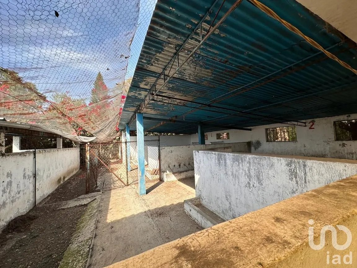 Rancho en Venta en Temoac, Temoac, Morelos | NEX-213562 | iad México | Foto 15 de 19