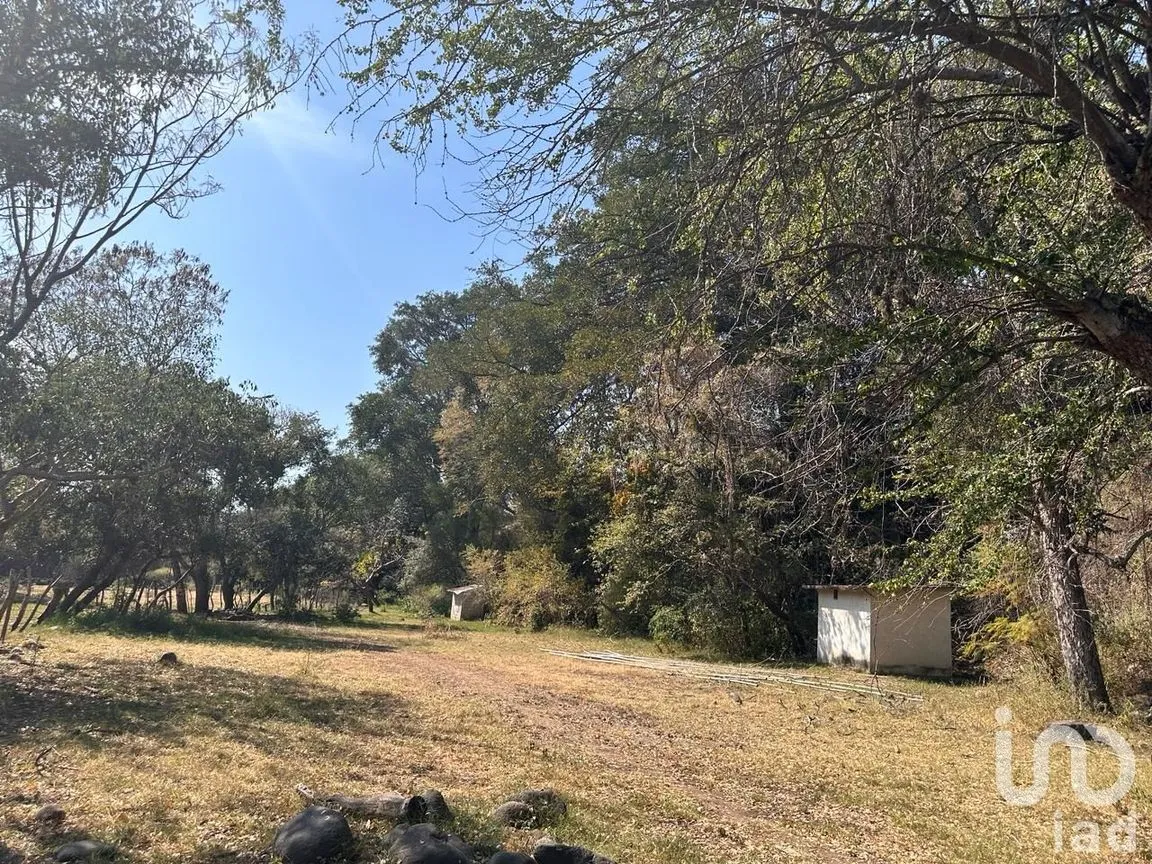 Rancho en Venta en Temoac, Temoac, Morelos | NEX-213562 | iad México | Foto 17 de 19