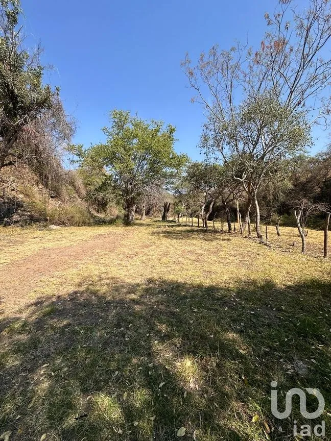 Rancho en Venta en Temoac, Temoac, Morelos | NEX-213562 | iad México | Foto 18 de 19