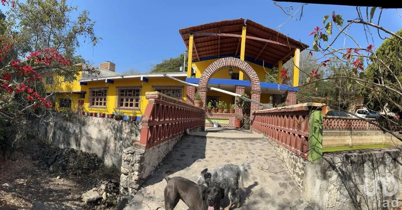 Rancho en Venta en Temoac, Temoac, Morelos | NEX-213562 | iad México | Foto 6 de 19