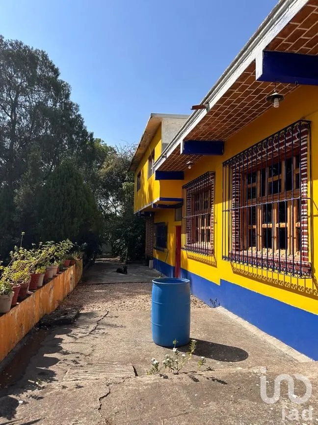 Rancho en Venta en Temoac, Temoac, Morelos | NEX-213562 | iad México | Foto 7 de 19