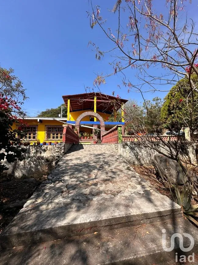 Rancho en Venta en Temoac, Temoac, Morelos | NEX-213562 | iad México | Foto 8 de 19