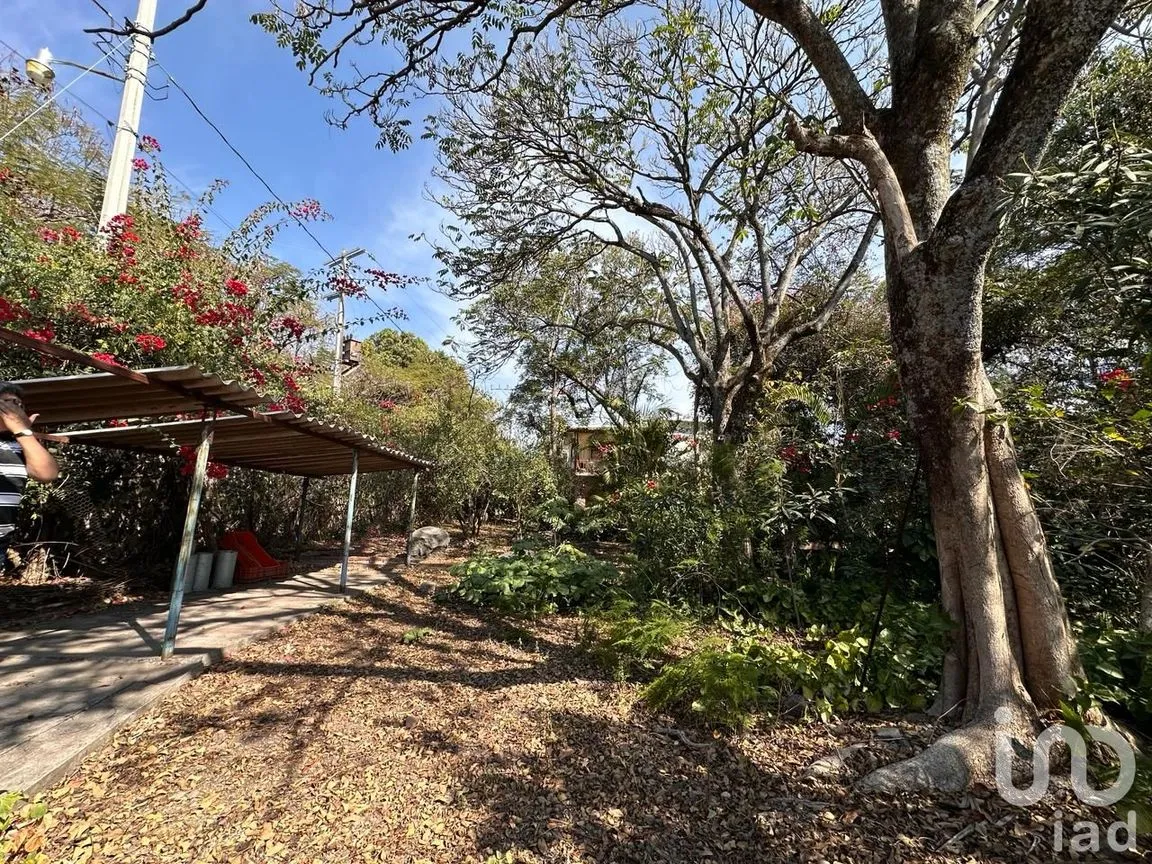 Rancho en Venta en Temoac, Temoac, Morelos | NEX-213562 | iad México | Foto 9 de 19