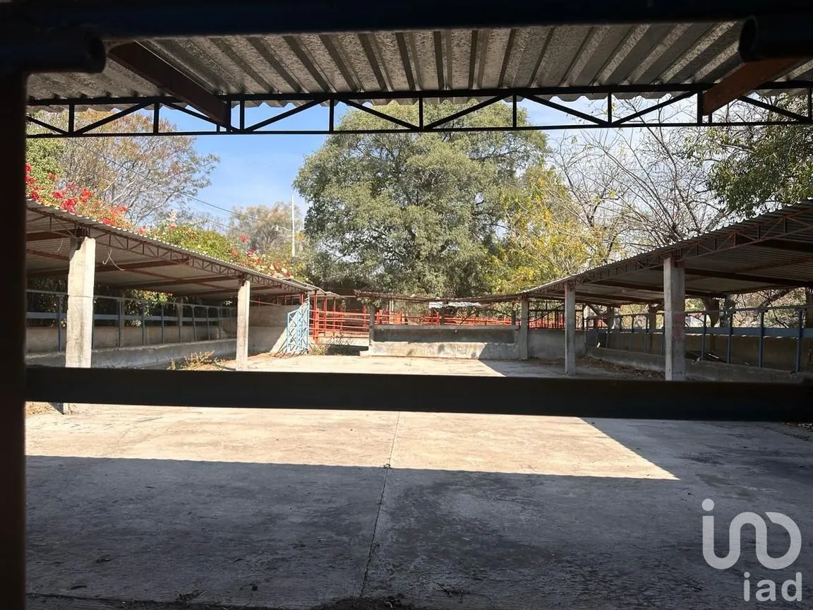 Rancho en Venta en Temoac, Temoac, Morelos | NEX-213562 | iad México | Foto 10 de 19