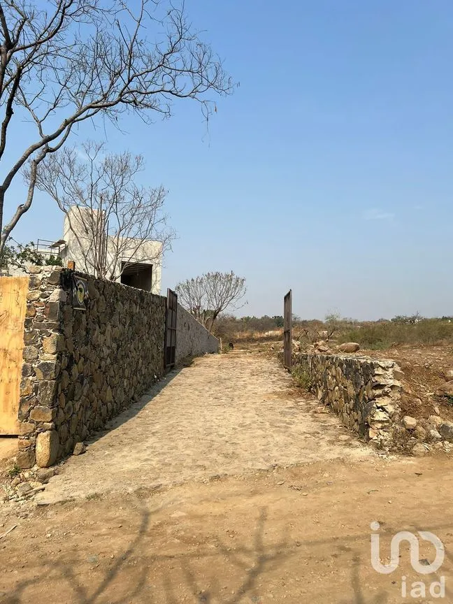 Terreno en Venta en Amatlán de Quetzalcóatl, Tepoztlán, Morelos | NEX-216927 | iad México | Foto 12 de 12