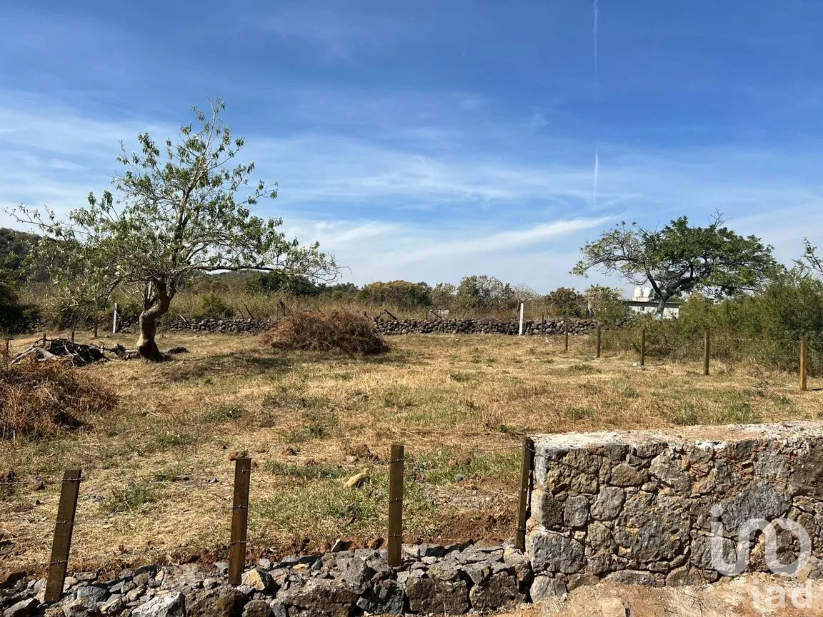 Terreno en Venta en Amatlán de Quetzalcóatl, Tepoztlán, Morelos | NEX-216927 | iad México | Foto 3 de 12