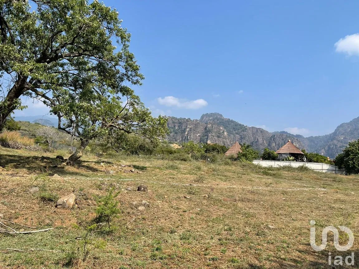 Terreno en Venta en Amatlán de Quetzalcóatl, Tepoztlán, Morelos | NEX-216927 | iad México | Foto 6 de 12