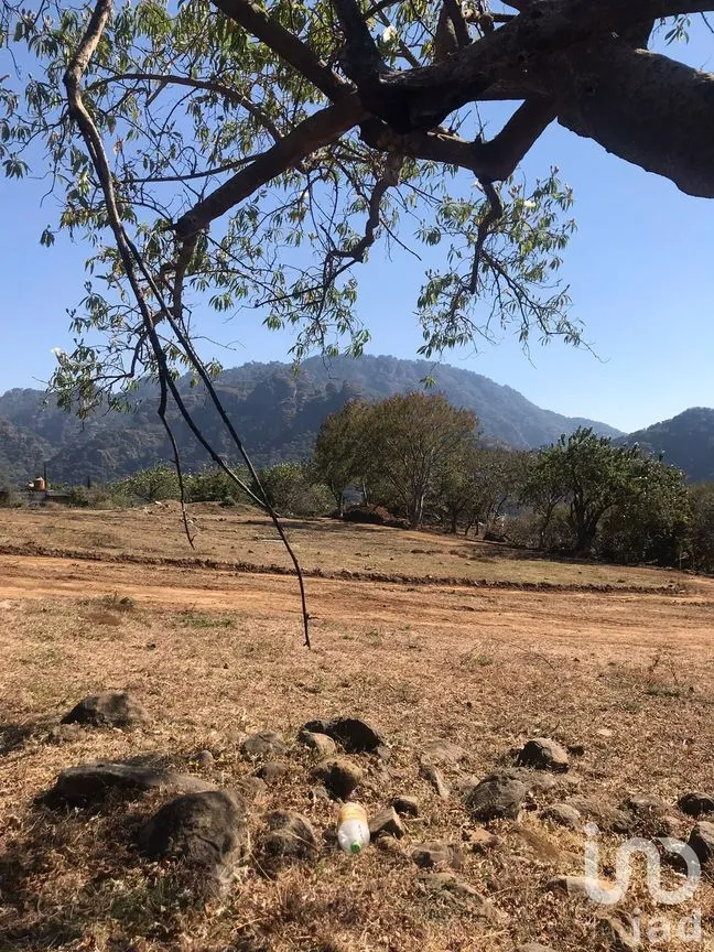 Terreno en Venta en Amatlán de Quetzalcóatl, Tepoztlán, Morelos | NEX-216927 | iad México | Foto 7 de 12