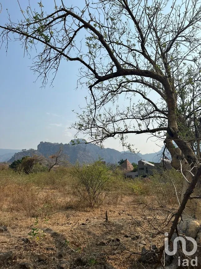 Terreno en Venta en Amatlán de Quetzalcóatl, Tepoztlán, Morelos | NEX-216927 | iad México | Foto 9 de 12